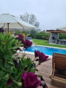 una piscina con terraza con flores púrpuras y sombrilla en Casa de campo con piscina, en Miraflores