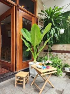 Zahrada ubytování Senkotel Nha Trang Managed by NEST Group