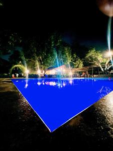 a blue object in the water at night at NB Nature Stay in Navi Mumbai