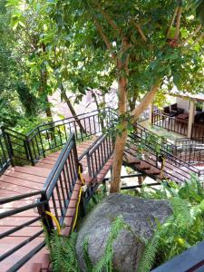 a wooden walkway with benches and a tree at PawPaw Resort in Koh Samui