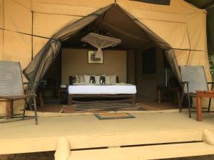 Mynd úr myndasafni af Back of Beyond Dune Camp Yala í Yala