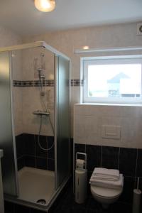 baño con ducha y aseo y ventana en Relais Charlemagne Sca, en Herve