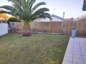 una palmera en un patio junto a una valla en Landaise en Tarnos