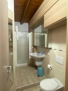 a bathroom with a toilet and a sink and a shower at The Flowers - Apartments with Private Garden in Residence with Pool in Manerba del Garda