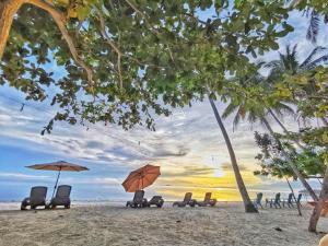 a group of chairs and umbrellas on a beach at Siquijor Glamping Village in San Juan