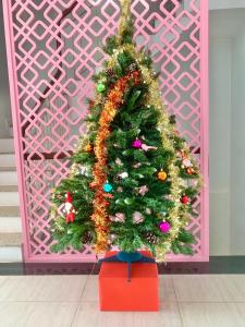 a christmas tree in front of a pink wall at Minh Anh Hotel in Phu Quoc