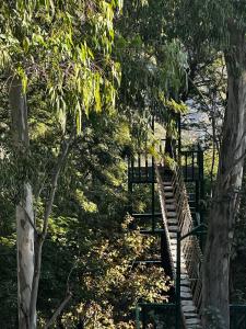 a wooden staircase in a forest with trees at Aestus Adventure and Wellness Centre in Kasauli