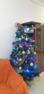 ein Weihnachtsbaum mit Lichtern in einem Zimmer in der Unterkunft Armenia Guest House in Komitas in Yerevan