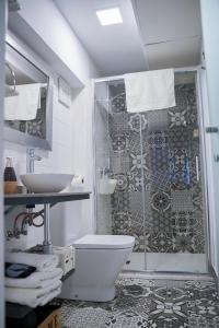 a bathroom with a shower and a toilet and a sink at Apartamentos Suites Cariátide in Plasencia