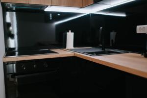 Küche/Küchenzeile in der Unterkunft Apartman Aleksandar