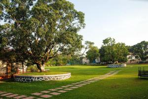 Ashoka Lawns and Resort في آليباغ: حديقة بها شجرة ومسار حجري