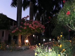 a garden at night with flowers and palm trees at Sauraha Resort in Sauraha