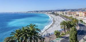 - une vue sur la plage bordée de palmiers et l'océan dans l'établissement Charmant Studio - Port de Nice, à Nice