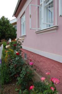 Vonkajšia záhrada v ubytovaní Guest house Hošek