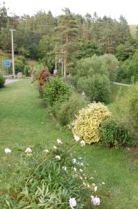 Vonkajšia záhrada v ubytovaní Guest house Hošek