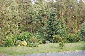 Vonkajšia záhrada v ubytovaní Guest house Hošek