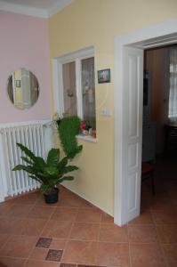 Fotografia z galérie ubytovania Guest house Hošek v destinácii Senorady