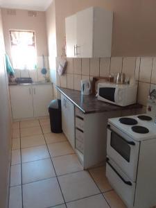 萨尔达尼亚RAIDEN'S Dream的配有炉灶和微波炉的厨房