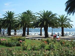 a group of palm trees in a park next to the water at MY HOUSE to Cinque terre in La Spezia