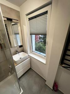 Un baño con lavabo y ventana. en Dziupla, en Orneta