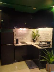 マンダウエ・シティにある2BR condo at banilad cebu 650のキッチン(白黒の家電製品、鉢植えの植物付)