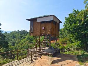 a tree house on a set of stairs at PANSHET VALLEY RESORT- MTDC & Agro Tourism in Pune