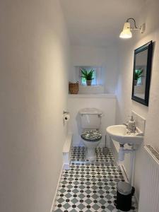a bathroom with a toilet and a sink at Knockfarrie Cottage in Pitlochry
