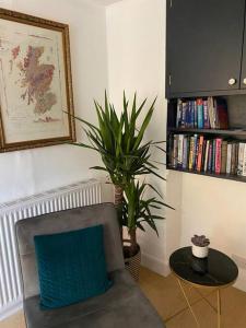a living room with a chair and a plant at Knockfarrie Cottage in Pitlochry