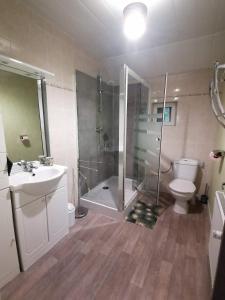 ein Bad mit einer Dusche, einem WC und einem Waschbecken in der Unterkunft Cocottes & Colibri in Châtellerault