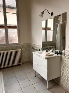 La salle de bains est pourvue d'un lavabo et d'un miroir. dans l'établissement Le manoir de la Cane, à Montfort-sur-Meu