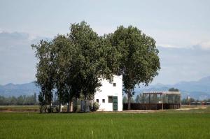 Príroda v okolí dovolenkového domu