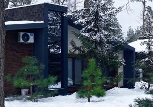 a house in the snow with a tree at Sunrise Sokirna in Sokirno