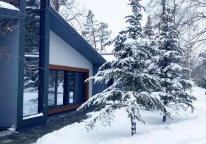 un árbol cubierto de nieve frente a una casa en Sunrise Sokirna en Sokirno