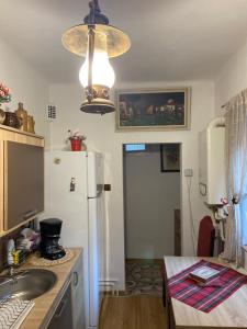 cocina con nevera, fregadero y luz en Casa Printre gradini, en Brasov