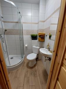 La salle de bains est pourvue de toilettes, d'une douche et d'un lavabo. dans l'établissement Zwardoniówka Apartamenty pod Orawcową, à Zwardoń
