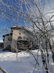 una casa en la nieve con ramas cubiertas de nieve en Chesa-strimer - Veranda en La Punt-Chamues-ch
