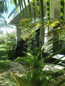 a building with stairs and palm trees in front of it at Silance Garden in Tangalle