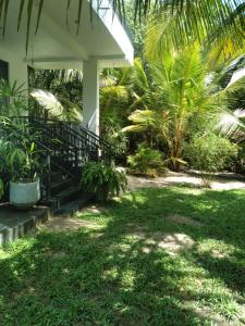 a porch of a house with palm trees at Silance Garden in Tangalle