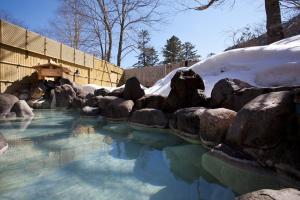 Gallery image of 奥日光森のホテル in Yumoto