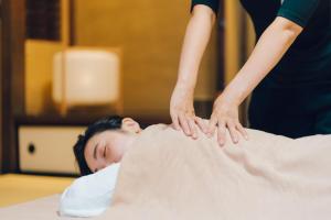 Lázně a/nebo wellness v ubytování Marufukuro