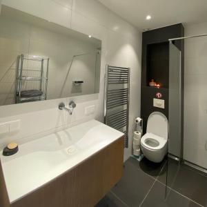 een badkamer met een wastafel, een toilet en een spiegel bij Chez Sybi in Amsterdam