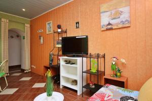 uma sala de estar com uma televisão de ecrã plano na parede em Apartment Renata em Šilo