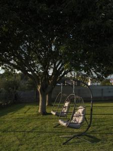 a swing in the grass next to a tree at Hotel Amiuka in O Pedrouzo