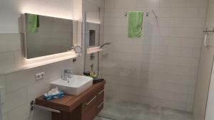 bagno con lavandino e specchio di Neckarzeit a Neckarwestheim