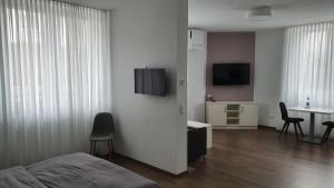 Schlafzimmer mit einem Bett, einem Tisch und einem TV in der Unterkunft Neckarzeit in Neckarwestheim