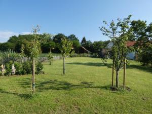 Galeriebild der Unterkunft Claire de Lune in Stegersbach