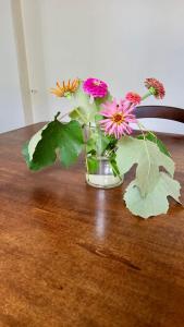 Fotografia z galérie ubytovania Antica Casa Storica con Giardino v destinácii Domodossola