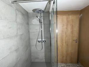 una doccia con una porta in vetro in un bagno di Schöneberger Bauernhof - Hühnerhaus a Schöneberg