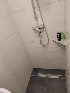a shower in a bathroom with a toilet at Lilly in Meßkirch