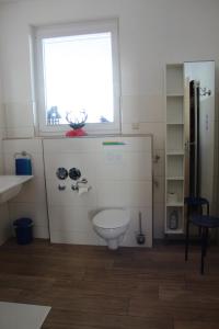 a bathroom with a white toilet and a window at Sport Rees- Ferienwohnung Ulrich in Hofsgrund